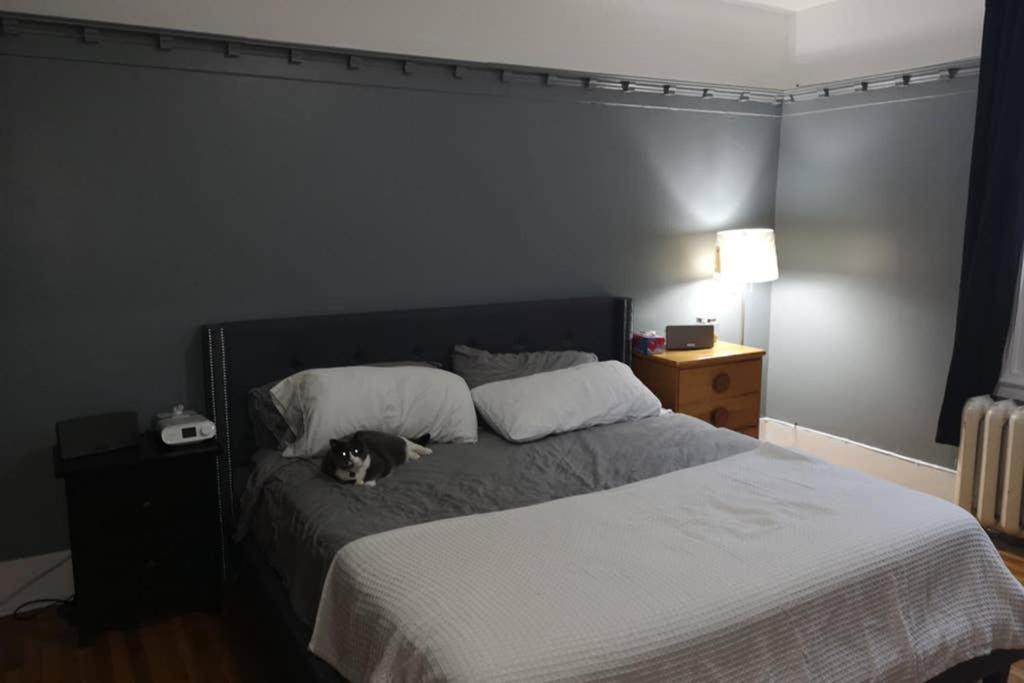 Great Location Large Kings Downtown Montréal